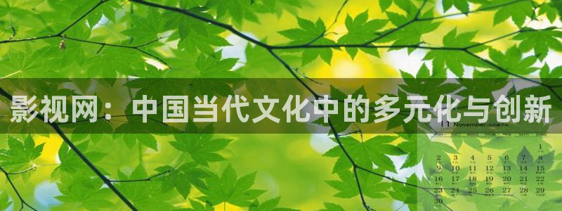 第七影视：影视网：中国当代文化中的多元化与创新