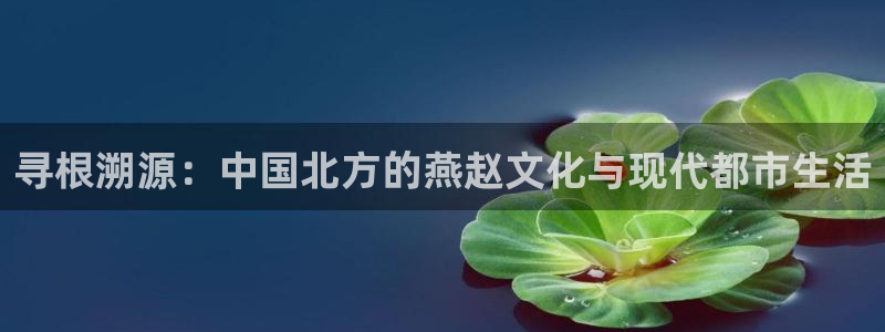 大地资源第七页在线观看高清版：寻根溯源：中国北方的燕赵文化与现代都市生活