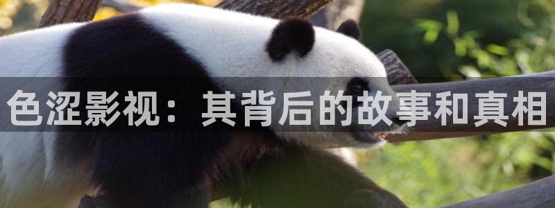 第七色影院最新网址：色涩影视：其背后的故事和真相