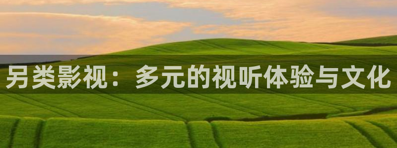 第七直播：另类影视：多元的视听体验与文化