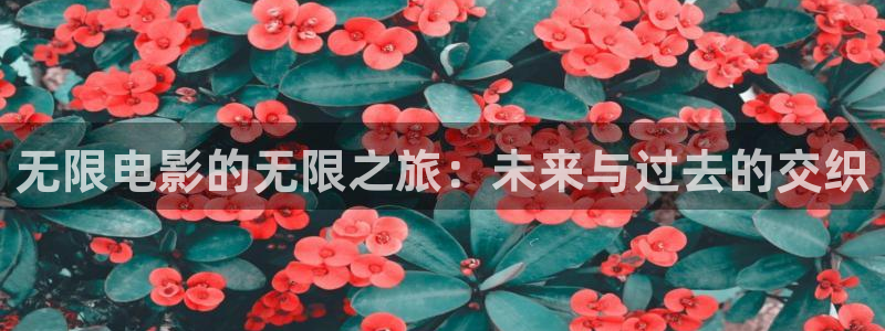 花花影院第七电影：无限电影的无限之旅：未来与过去的交织